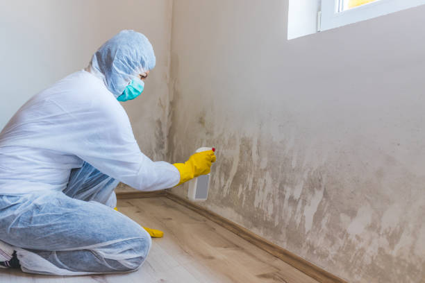 Commercial Mold Remediation assessment for commercial property in Renovo